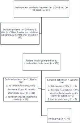 Progression of Mild to Moderate Stenosis in the Internal Carotid Arteries of Patients With Ischemic Stroke